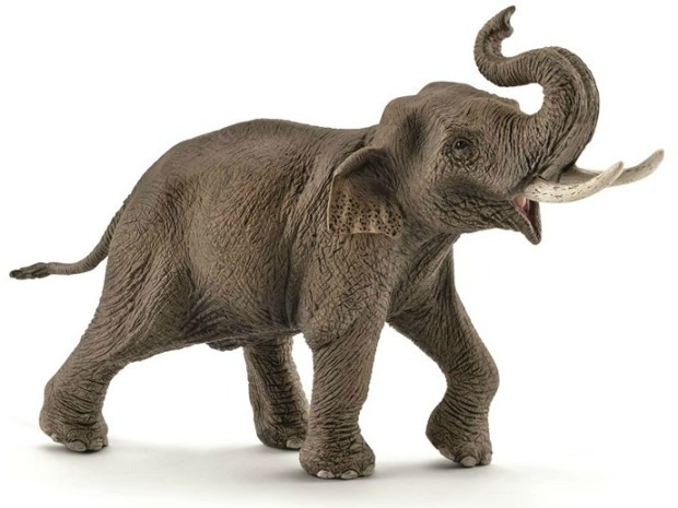 schleich-asian-elephant-bull-14754