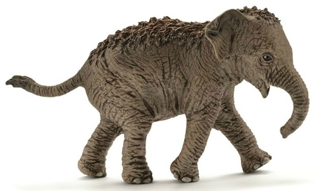 schleich-asian-elephant-calf-14755