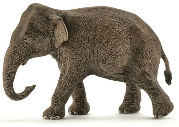 schleich-asian-elephant-cow-14753